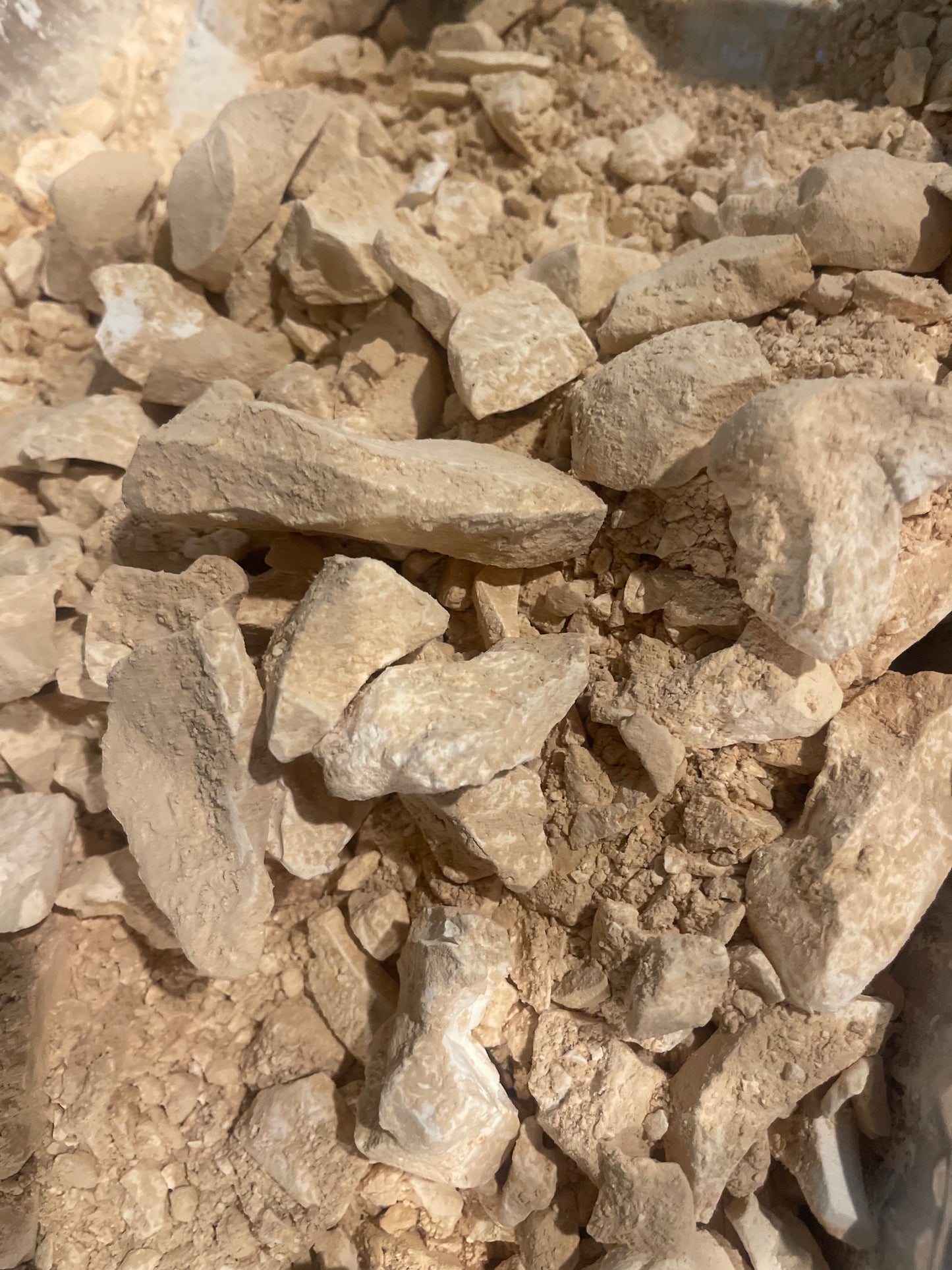 XXX Charcoal Toasty Crunchii Container