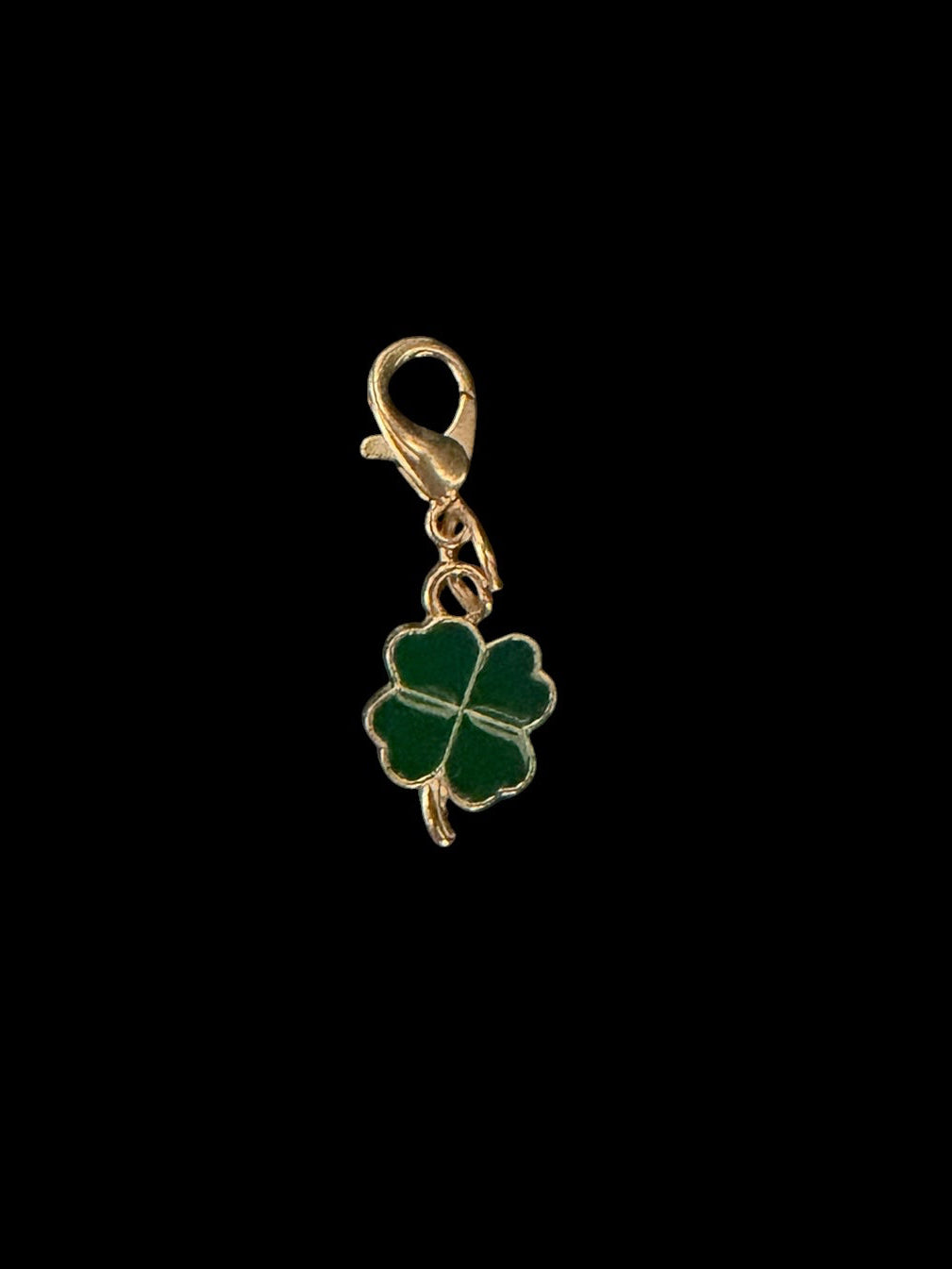 Luckii Charm Key Chain
